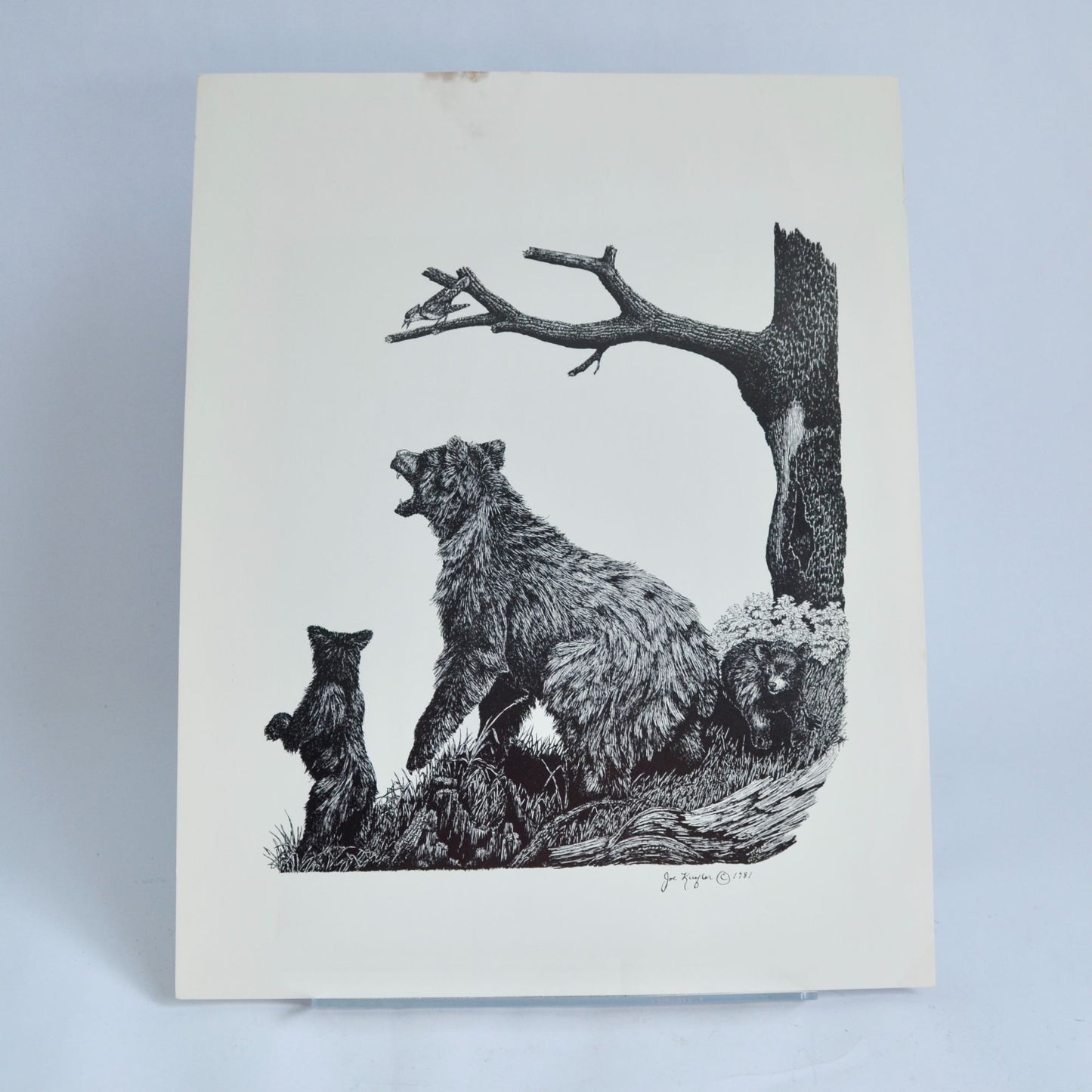 1981 Joe Kuefler Bears Black White Print 14 x 11"