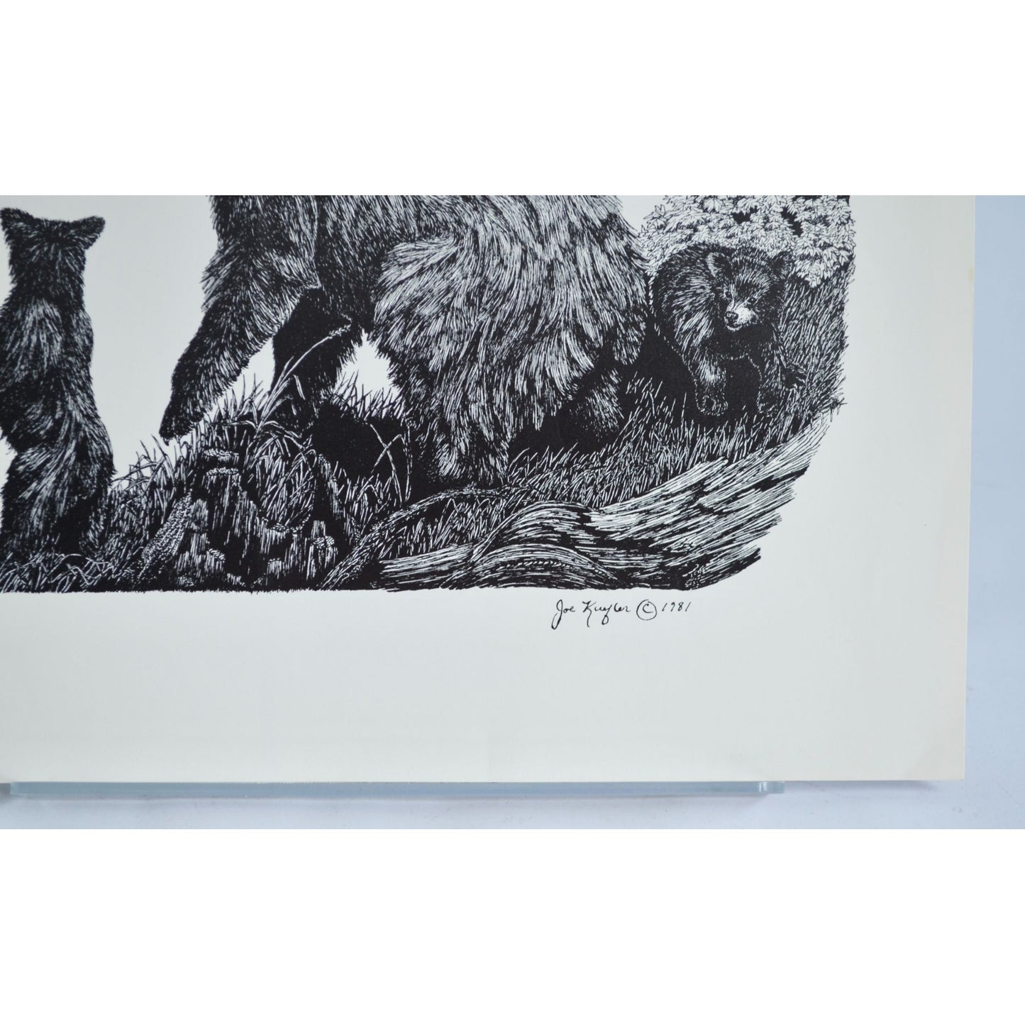 1981 Joe Kuefler Bears Black White Print 14 x 11"
