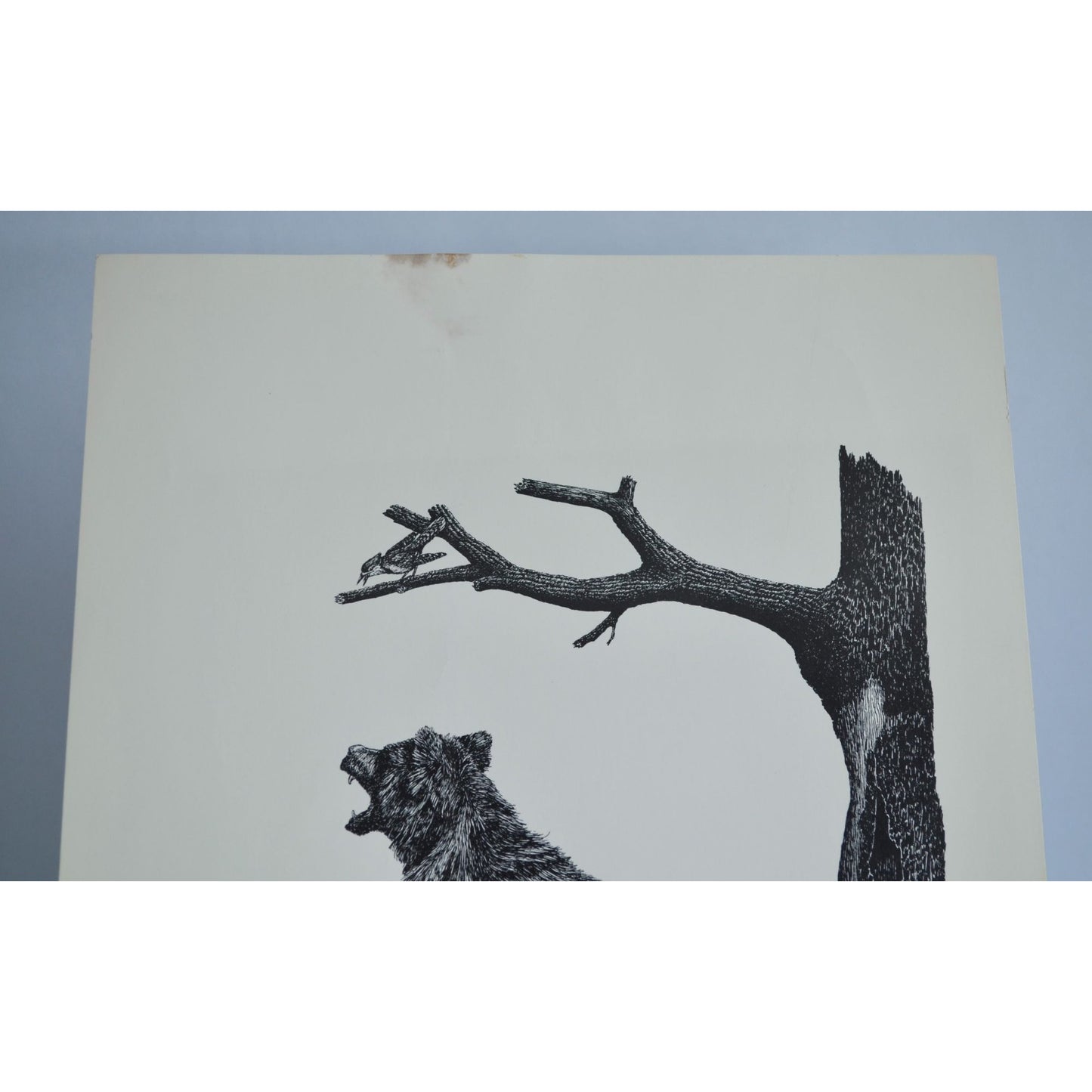 1981 Joe Kuefler Bears Black White Print 14 x 11"