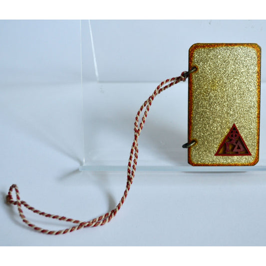 Antique 1925 Gamma Phi Delta Dance Card 10th Annual Draper Hall Oconomowoc Wisconsin