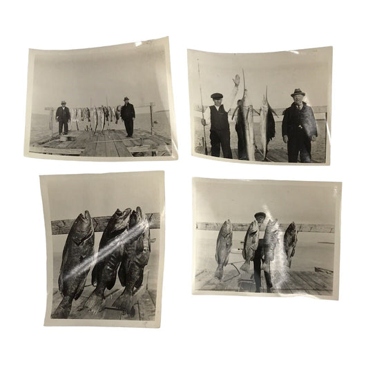 Lot 4 Vintage Saltwater Fishing Photographs Swordfish Black & White Antique '27