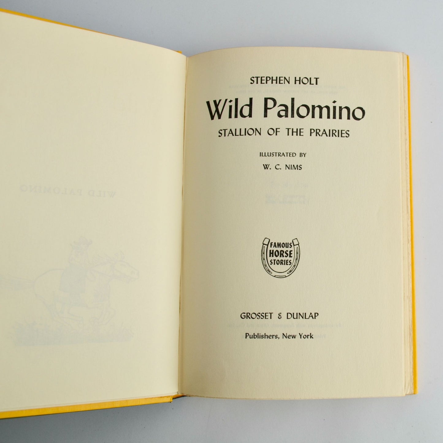 Wild Palomino Stallion of the Prairies Stephen Holt 1946 Vintage HC Book
