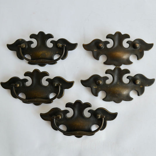 Lot of 5 Brass Bat Wing Drawer Pull Handles Chippendale Bail Pull 3"