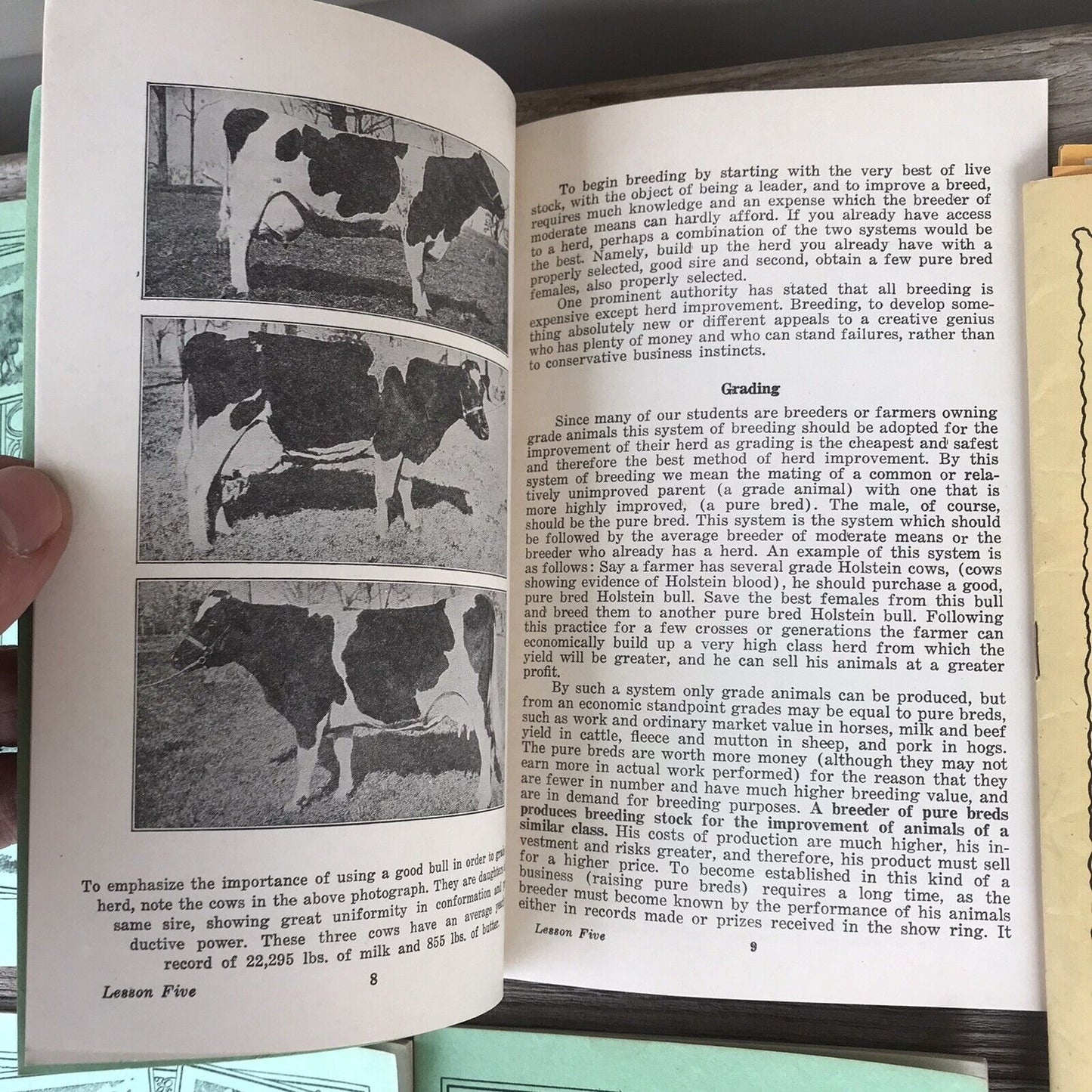 Vintage 1944 Lot Home Course in Animal Breeding Vol 1-10 + Extras