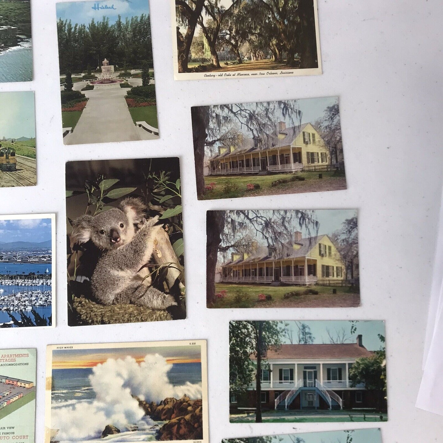 Lot 26 Vintage Postcards: Tropical States- New Orleans, LA, CA, TX, HI, etc.