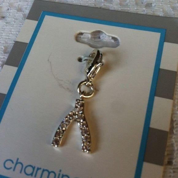 A Charming Idea CZ Wishbone Charm New