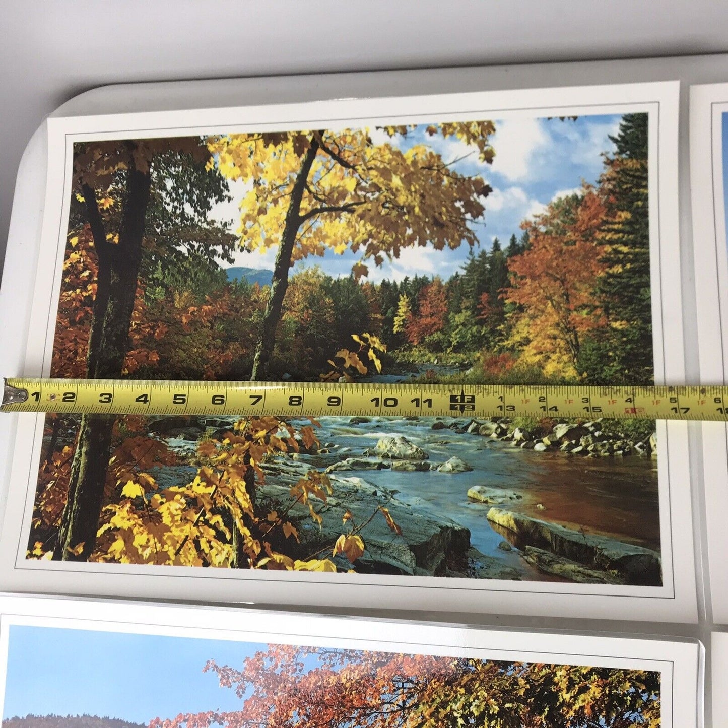 Set Of 4 Vintage Scenery Photo Placemats Laminated & Washable