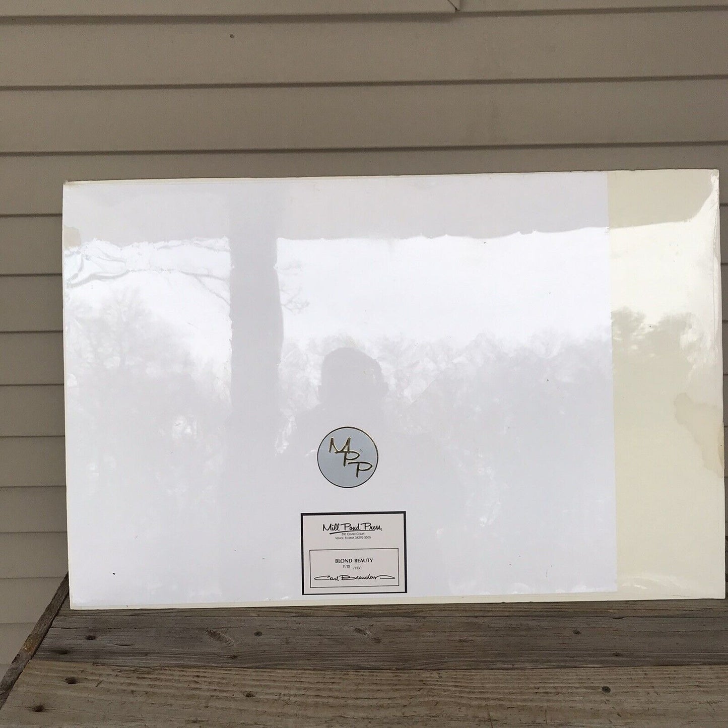 Carl Brenders BLONDE BEAUTY Horse Print Signed & Numbered Vintage SEALED!