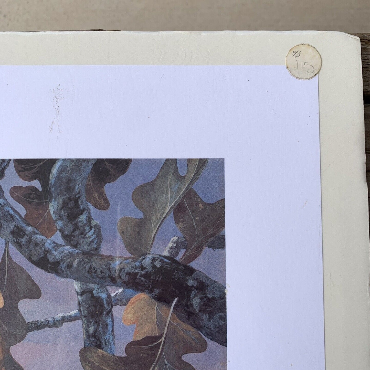 SIGNED Vintage Print: After The Rain by Mario Fernandez Limited Edition NOS
