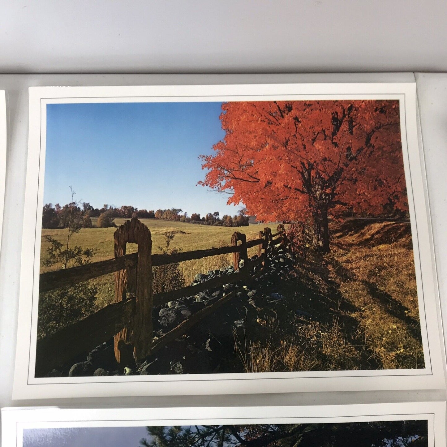 Set Of 4 Vintage Scenery Photo Placemats Laminated & Washable