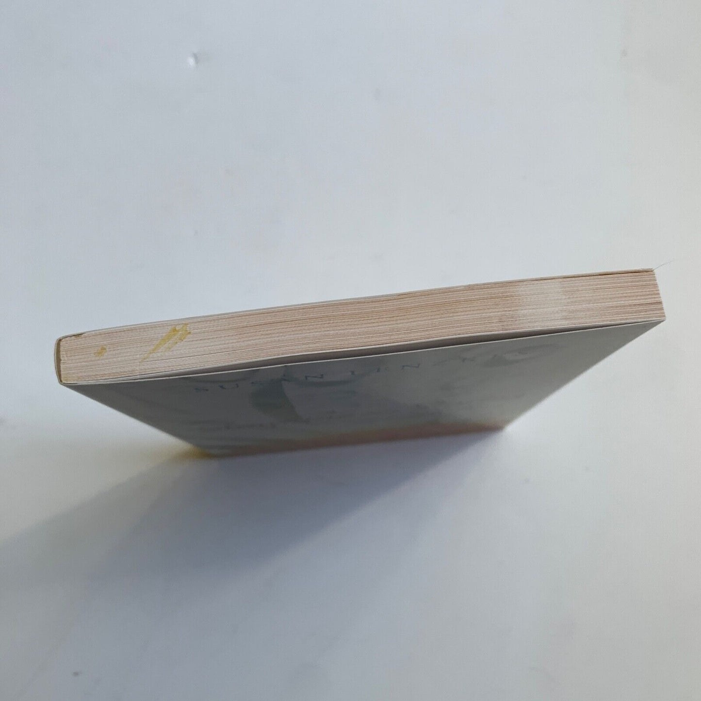 Sunshine & Storms Devotions to Encourage and Comfort Susan Lenzkes Book New