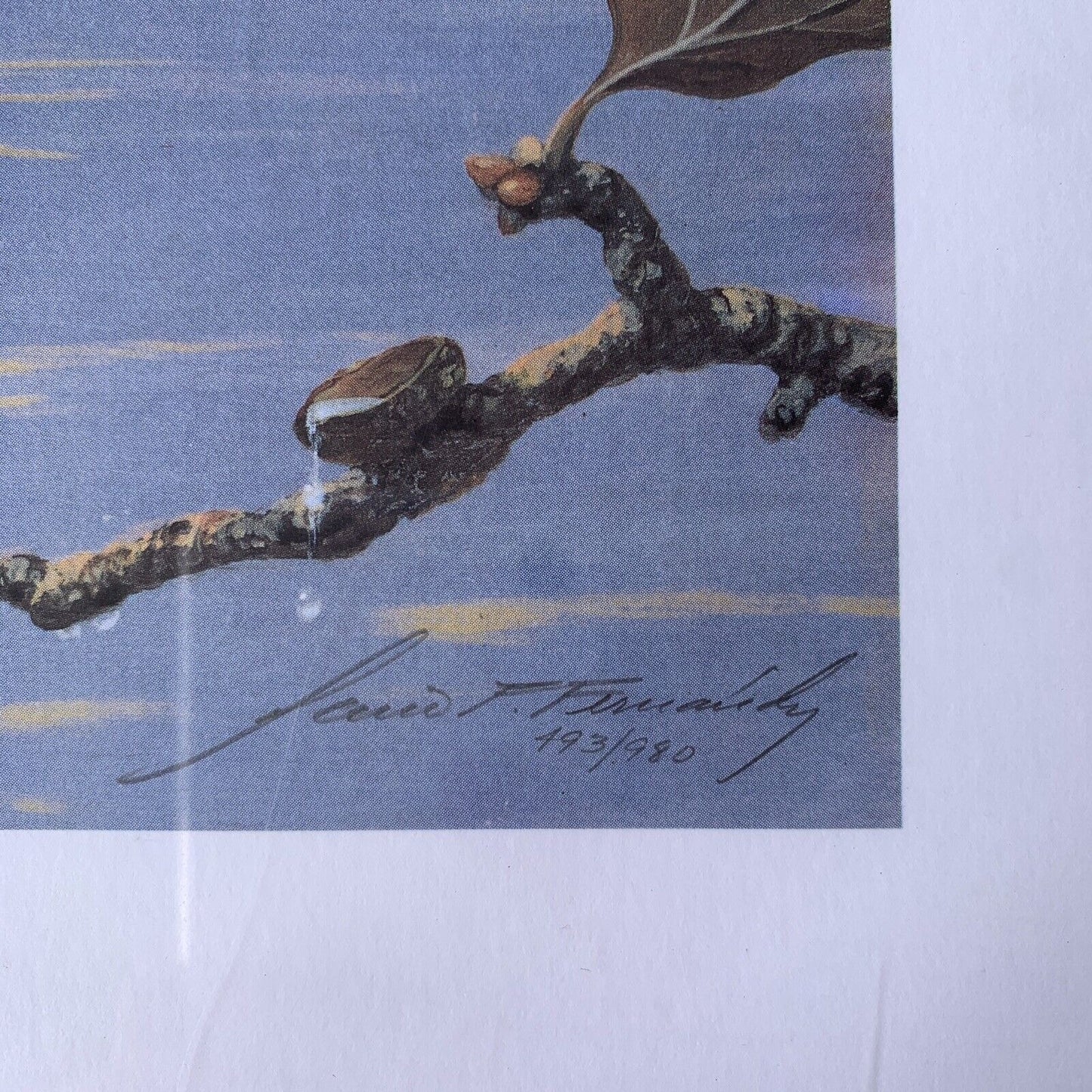 SIGNED Vintage Print: After The Rain by Mario Fernandez Limited Edition NOS
