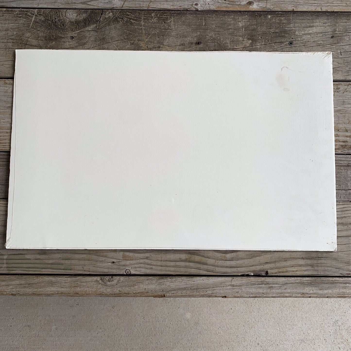 SIGNED Vintage Print: Three’s A Crowd by James Meger 1989 NOS, SEALED! Chickadee