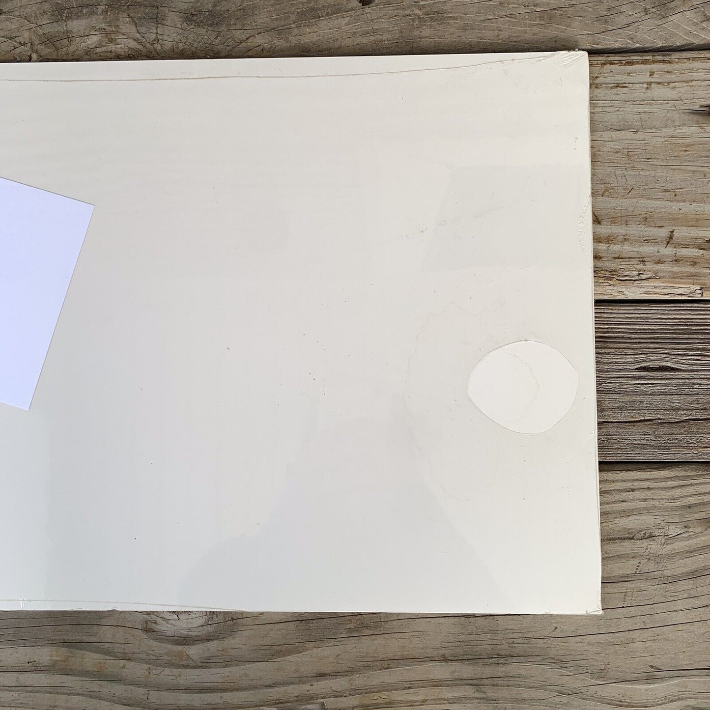 SIGNED Vintage Print: The Lone Flight by Mario Fernandez Seagull Limited Edition