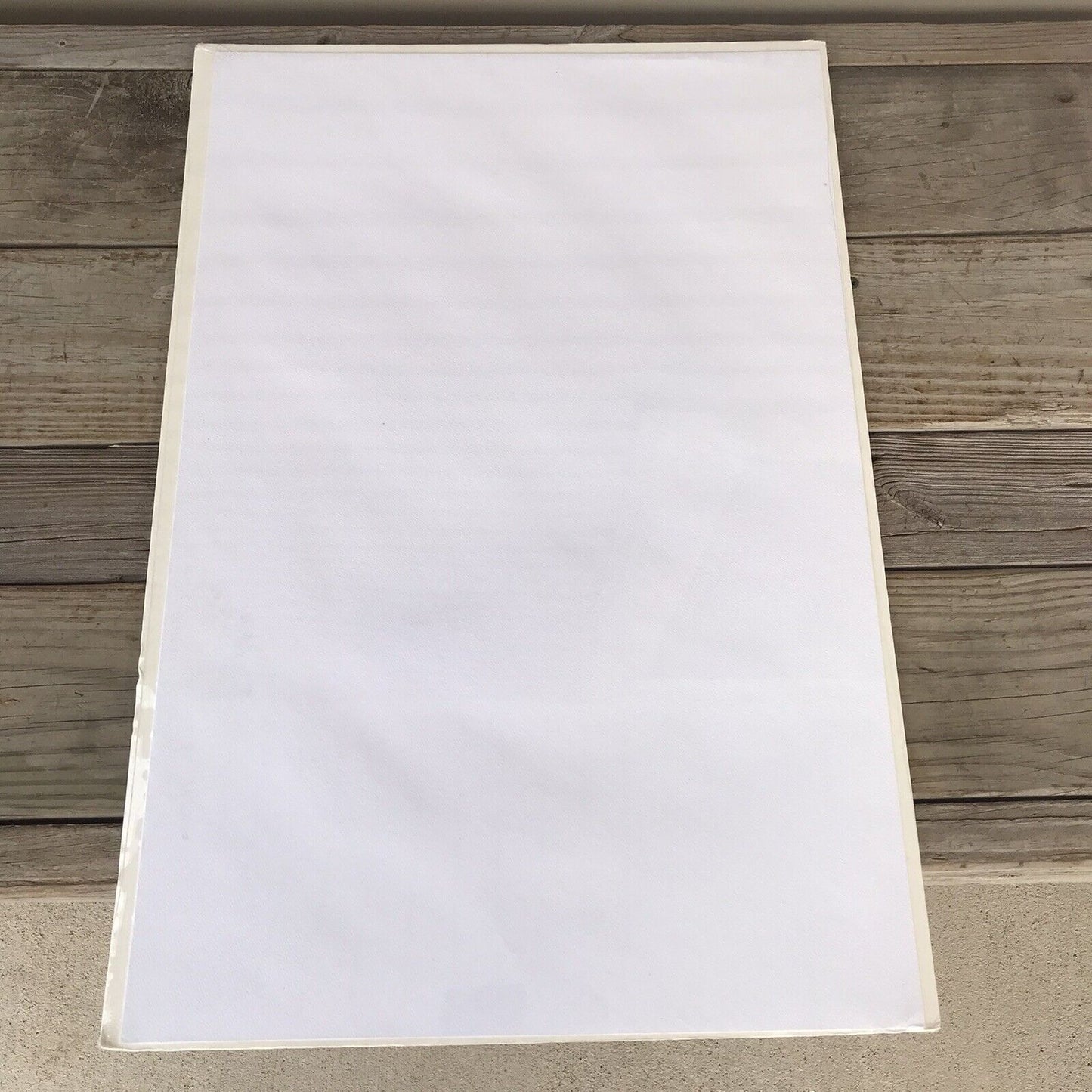 Signed, Limited Edition Print: Winter In My Backyard by Alan Sakhavarz SEALED!