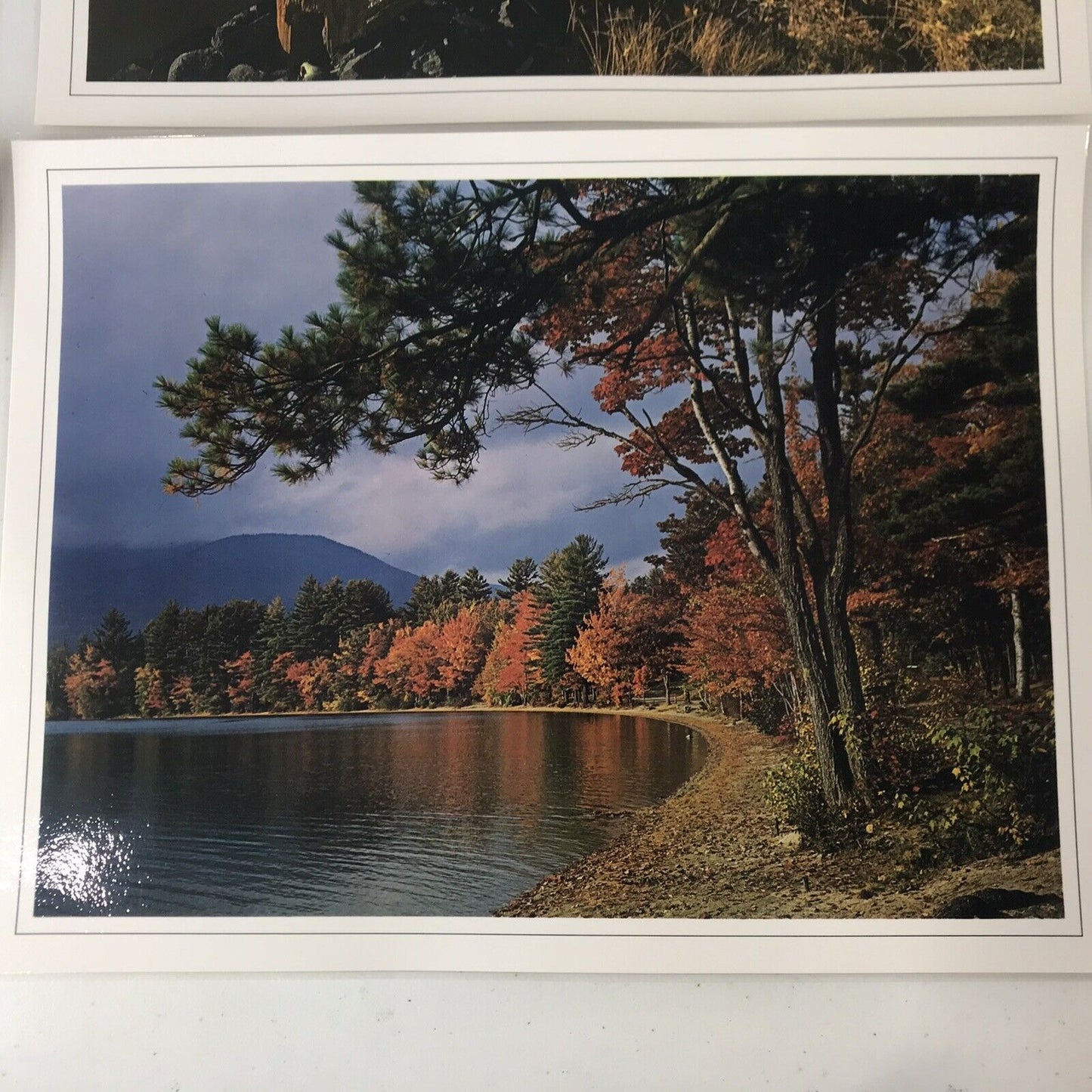 Set Of 4 Vintage Scenery Photo Placemats Laminated & Washable