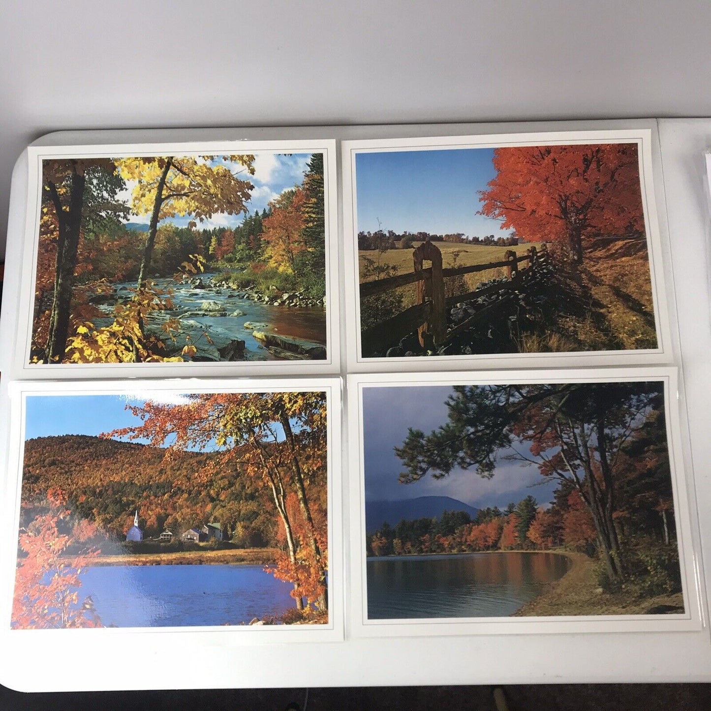 Set Of 4 Vintage Scenery Photo Placemats Laminated & Washable