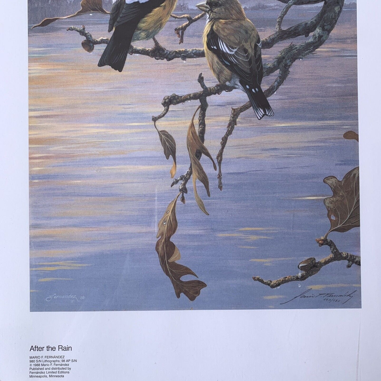SIGNED Vintage Print: After The Rain by Mario Fernandez Limited Edition NOS