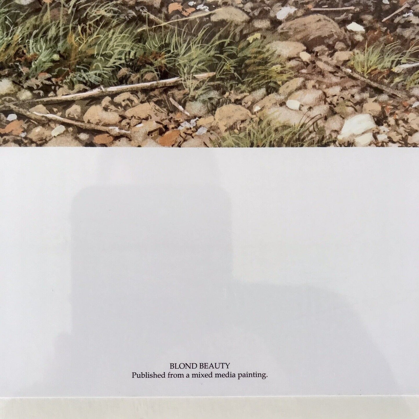 Carl Brenders BLONDE BEAUTY Horse Print Signed & Numbered Vintage SEALED!