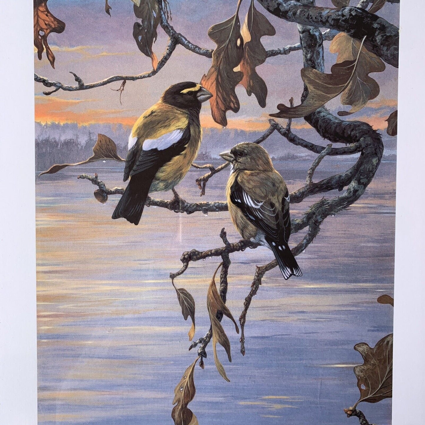 SIGNED Vintage Print: After The Rain by Mario Fernandez Limited Edition NOS