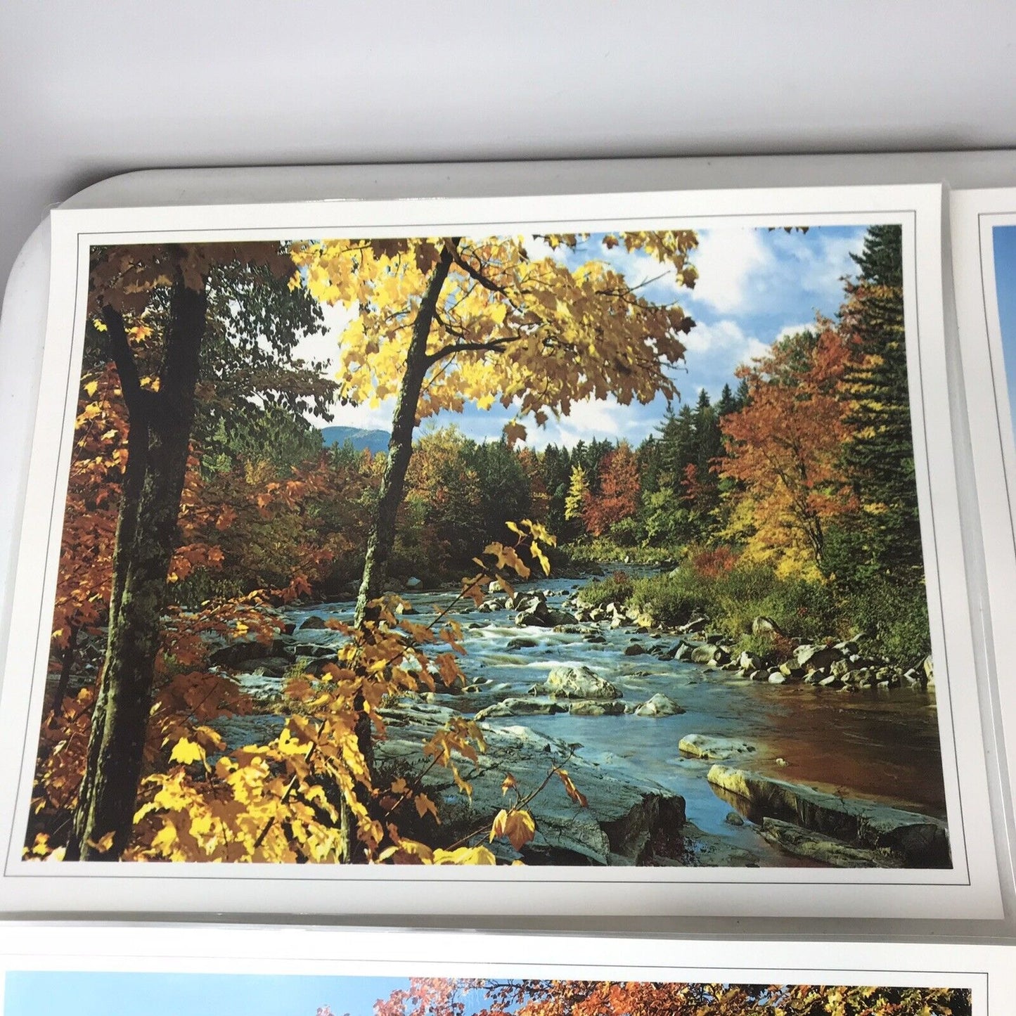 Set Of 4 Vintage Scenery Photo Placemats Laminated & Washable