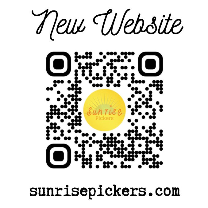 NEW Sterling Silver CZ Butterfly Necklace