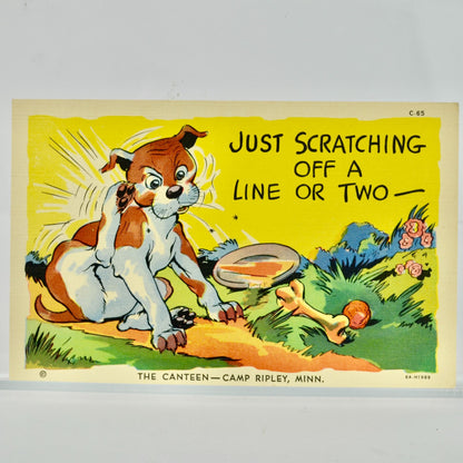 Just Scratching off a Line or Two Camp Ripley Vintage Postcard