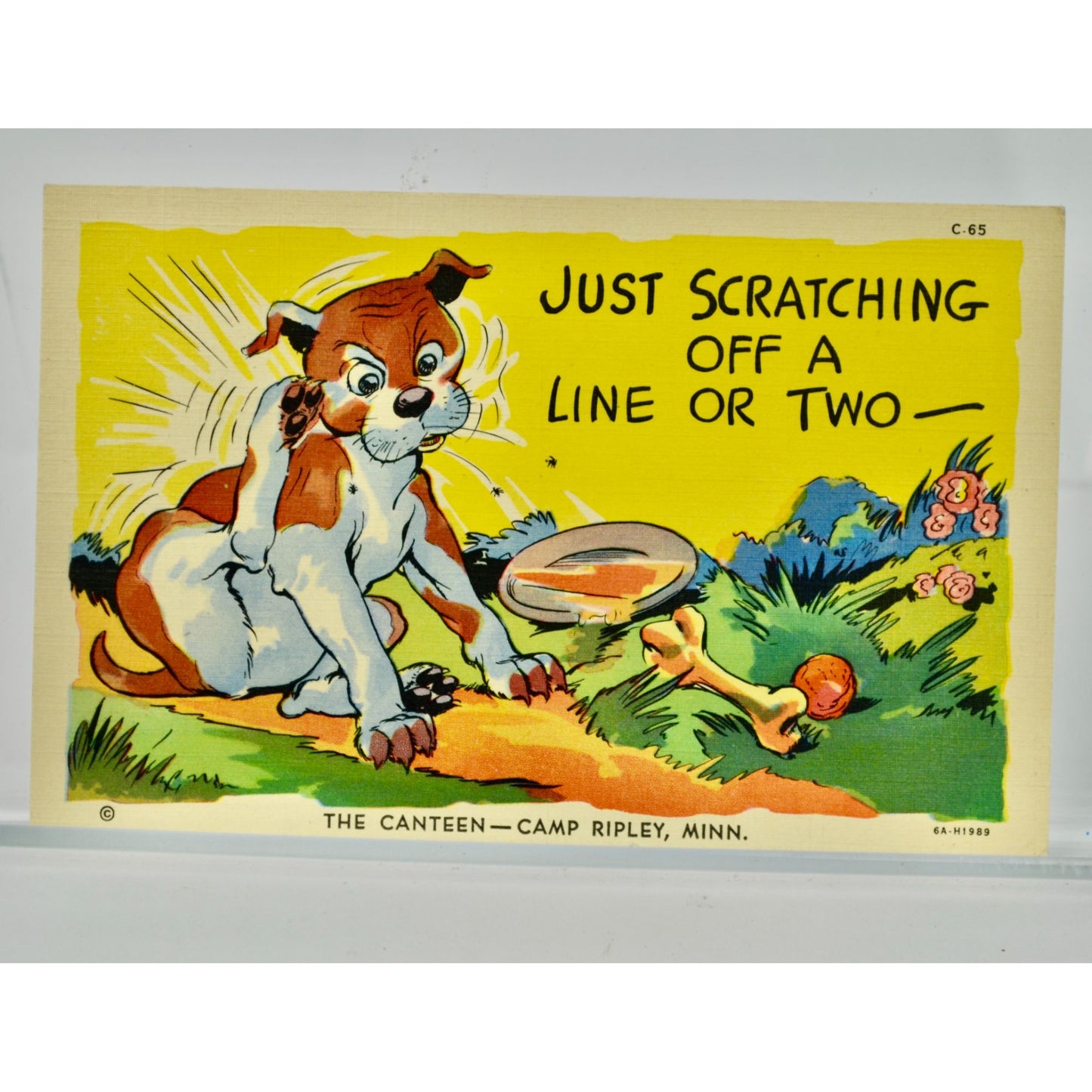 Just Scratching off a Line or Two Camp Ripley Vintage Postcard