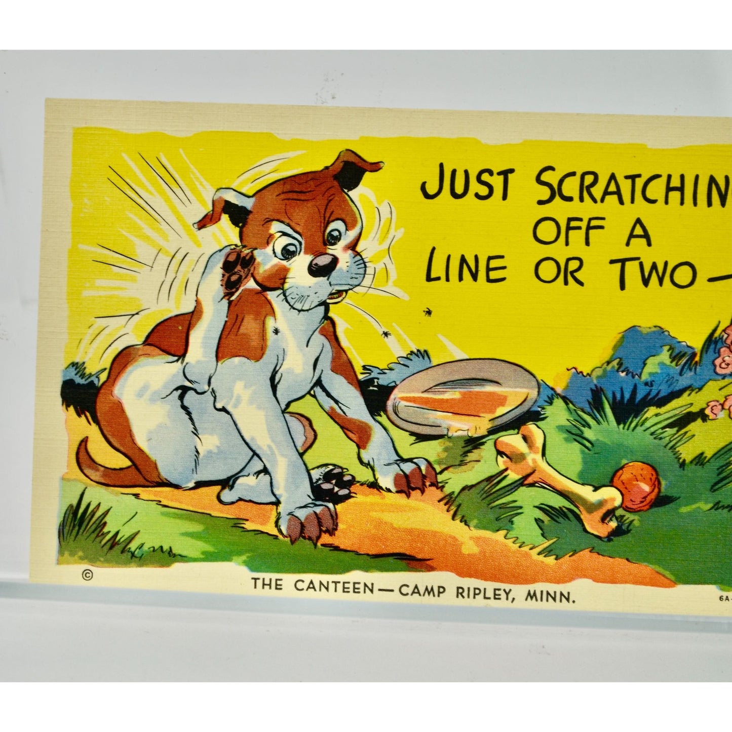 Just Scratching off a Line or Two Camp Ripley Vintage Postcard