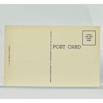 Just Scratching off a Line or Two Camp Ripley Vintage Postcard