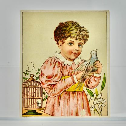 Colyer & Co. Newark NJ Antique Victorian Trade Card