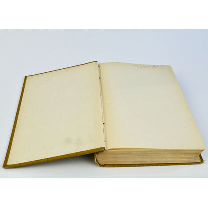 Adjutant General's Report Illinois Vol. 4 1861-1866 Army Soldier Roster
