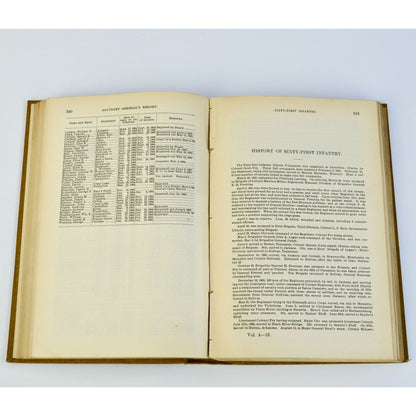Adjutant General's Report Illinois Vol. 4 1861-1866 Army Soldier Roster