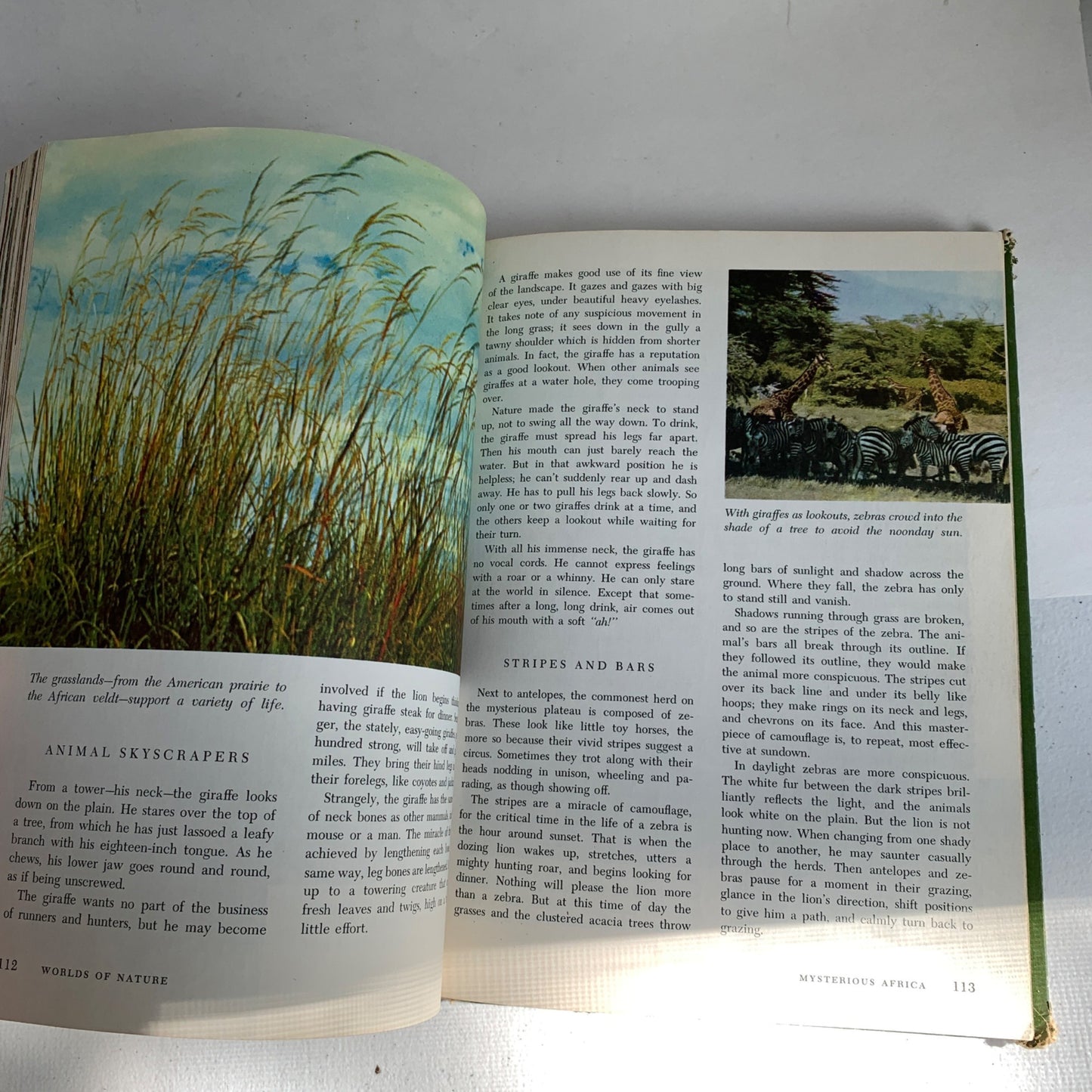 Walt Disney's Worlds of Nature Hardcover Book 1965