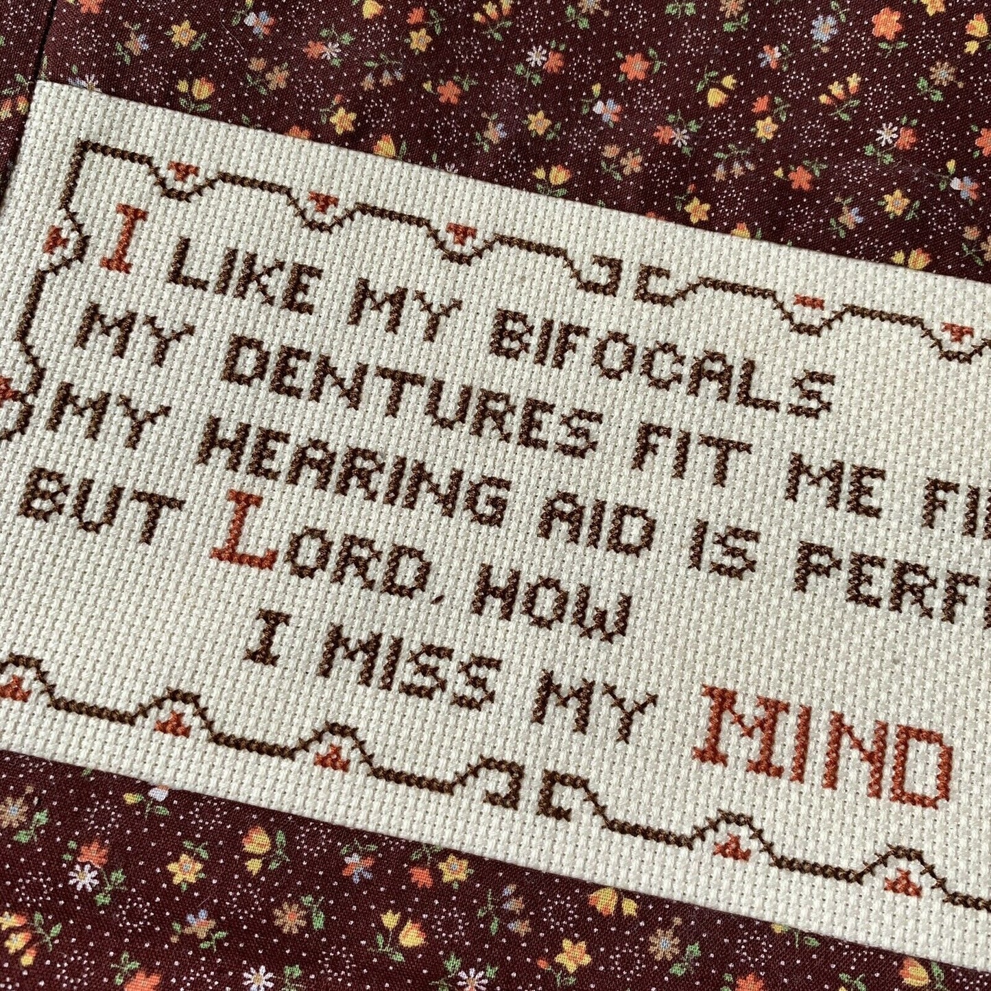 Needlepoint Art Bifocals Dentures Hearing Aid Humorous Funny