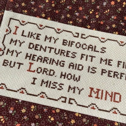 Needlepoint Art Bifocals Dentures Hearing Aid Humorous Funny