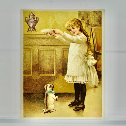 Dilworth's Coffee Antique Victorian Trading Card Girl Pug Dog