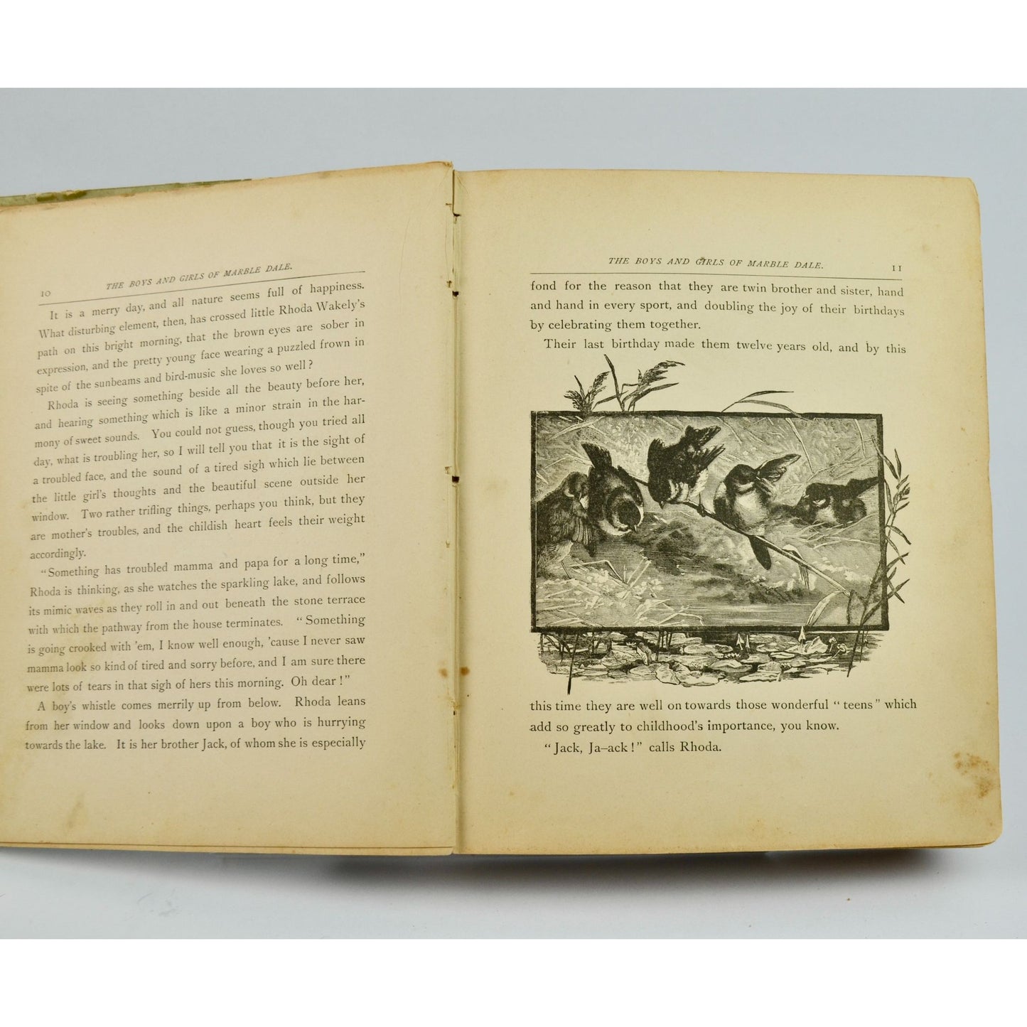 1888 Antique The Girls and Boys of Marbledale Mary D Brine Book