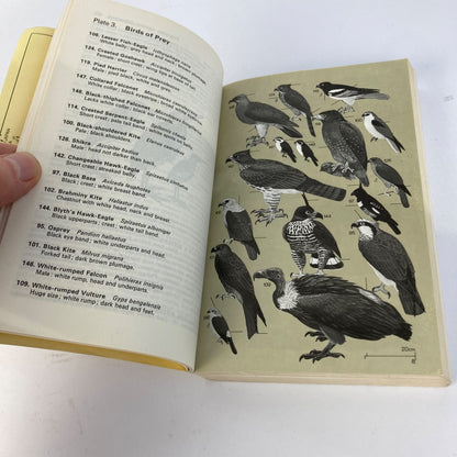 Vintage Field Guide to the Birds of South-East Asia Book