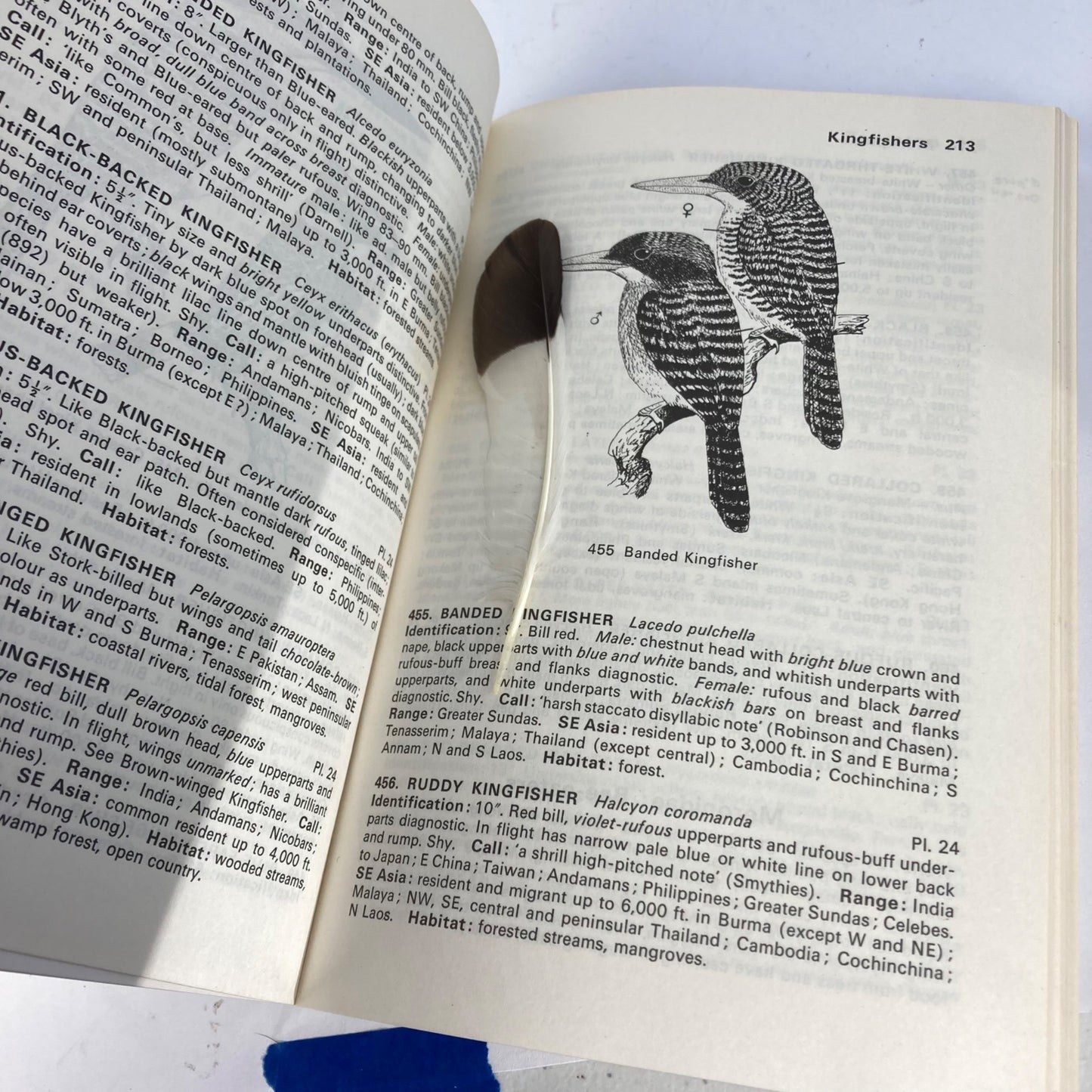 Vintage Field Guide to the Birds of South-East Asia Book