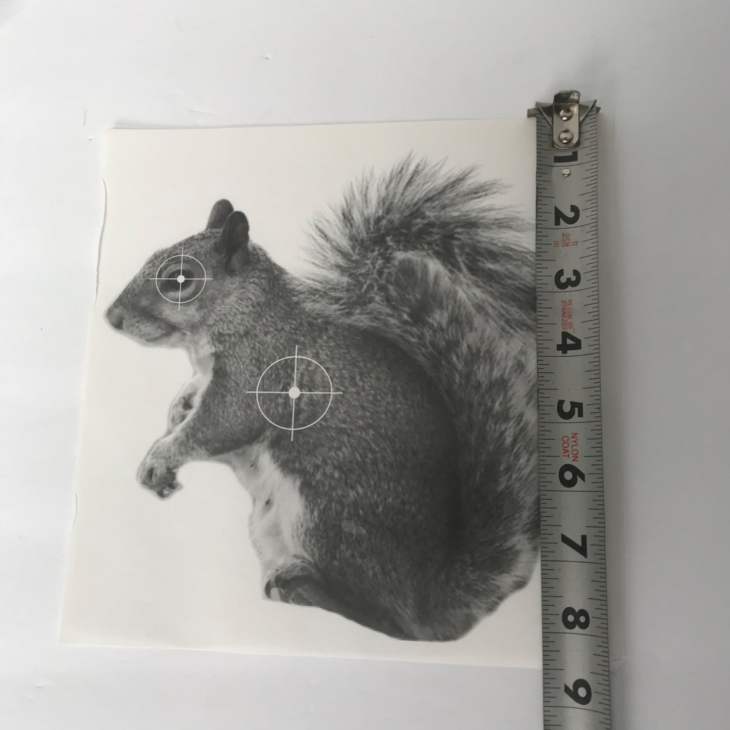 Vintage Squirrel Shooting Targets Pack of 25 NOS & SEALED! CBF-T100 Paper Black & White