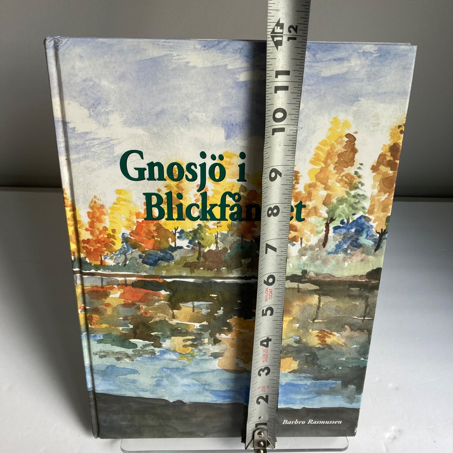 Vintage Gnosjo i Blickfanget SWEDISH BOOK Hardcover