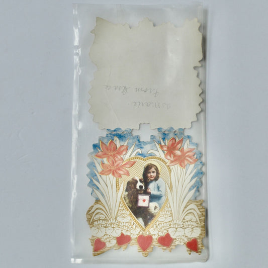 Vintage Valentine Card Girl Dog Little Maiden Beau