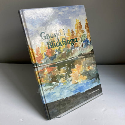 Vintage Gnosjo i Blickfanget SWEDISH BOOK Hardcover