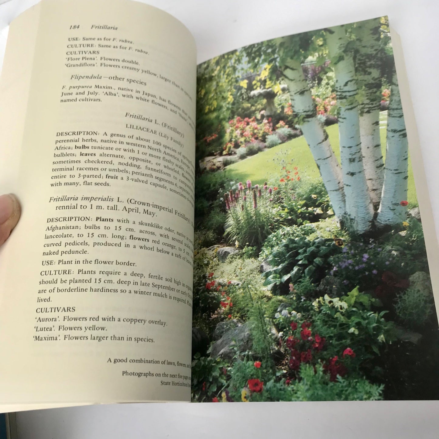 Flowers for Northern Gardens Book by Leon Snyder NICE! Gardening