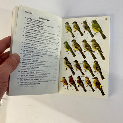 Vintage Peterson Field Guides Mexican Birds Book Copyright 1973