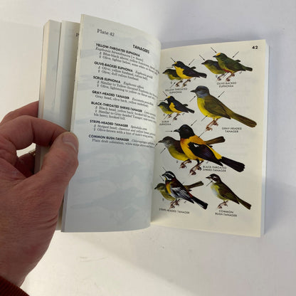 Vintage Peterson Field Guides Mexican Birds Book Copyright 1973