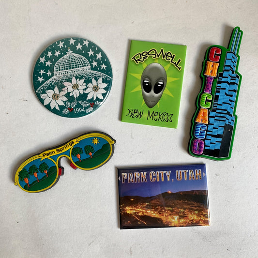 Assorted Magnets and Pins Lot