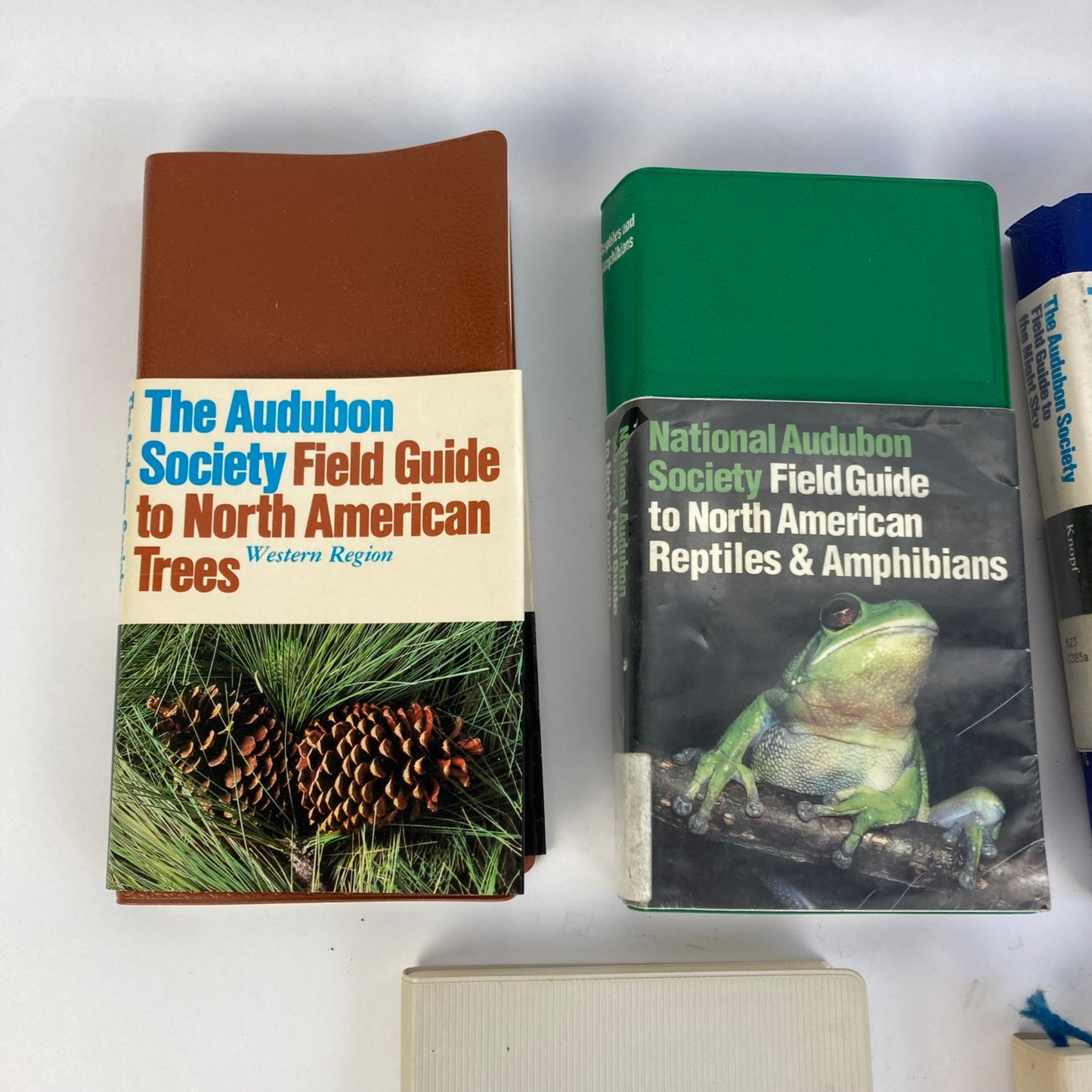 Lot 6 Vintage Audubon Society Field Guides Trees, Insects, Sky, Reptiles, Birds