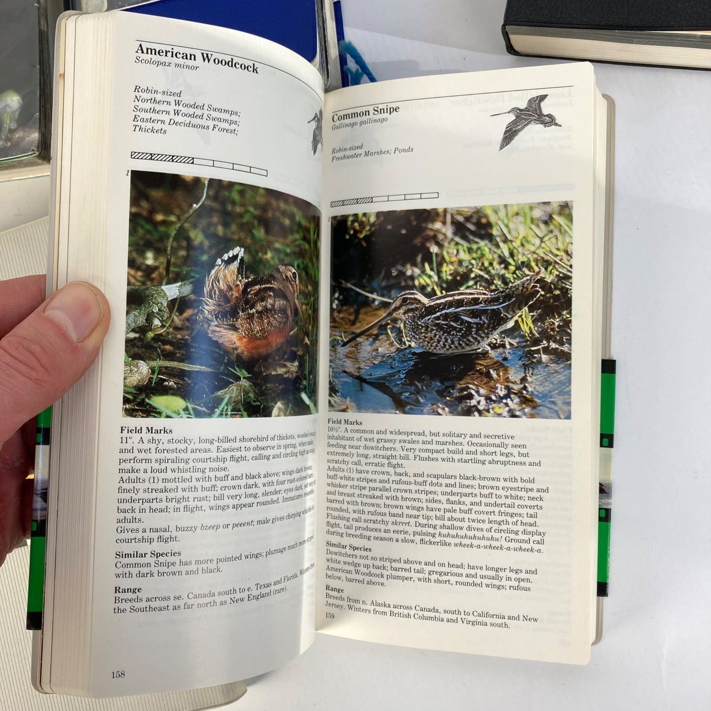 Lot 6 Vintage Audubon Society Field Guides Trees, Insects, Sky, Reptiles, Birds